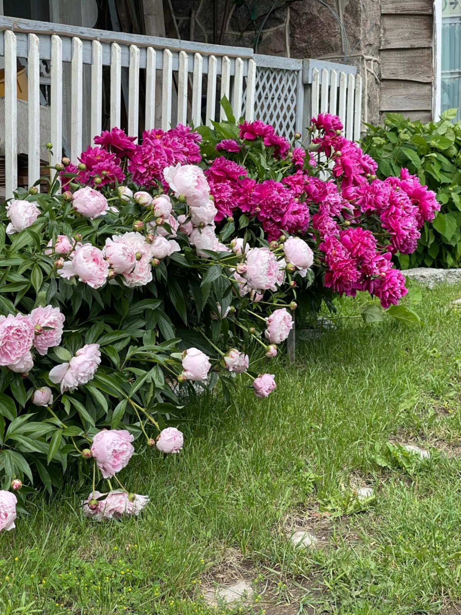 Motel Le Jardin Quebec City Luaran gambar